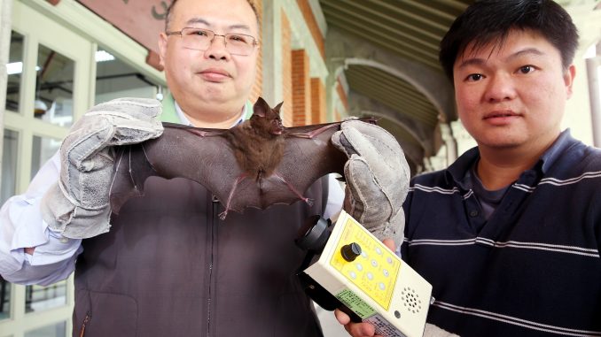 975797d8aa79334c2cf39ae2b21234e3