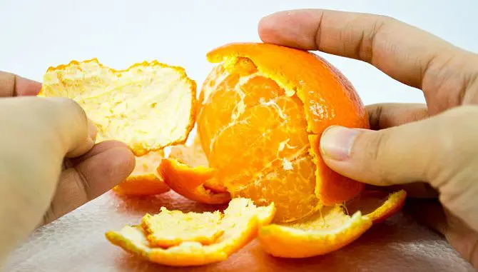 useful-orange-peels