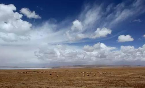西藏尼玛草原