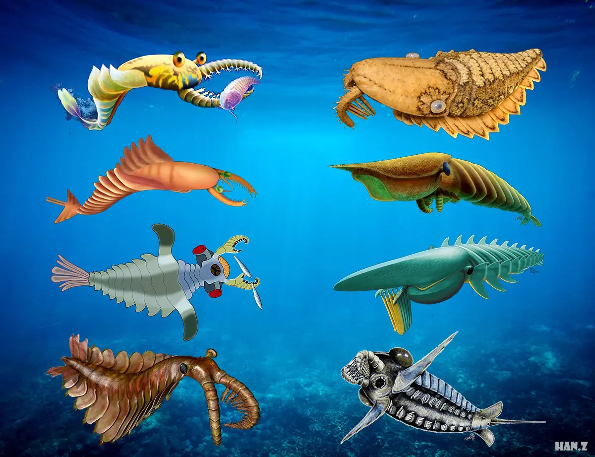 早期海洋大型食肉动物—奇虾类