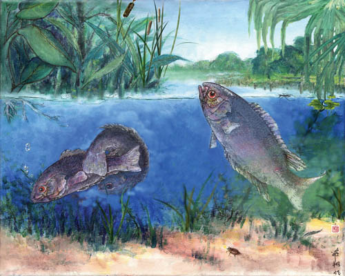 西藏始攀鲈及其生境复原图:渐新世晚期(距今约2千6百万年前)的西藏腹地曾存在温暖湿润的低地,孕育着与今天高原内部完全不同的环境和生态系统。(吴飞翔供图)