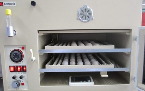 科学家发现鸟类胚胎具有广泛的低温耐受性