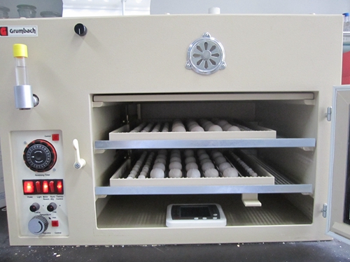 科学家发现鸟类胚胎具有广泛的低温耐受性