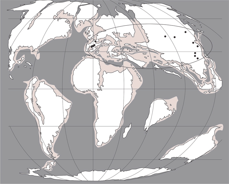 寻找生物大灭绝的线索