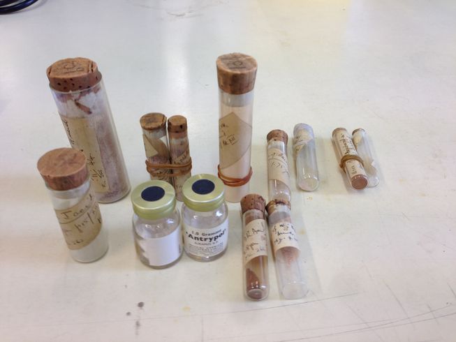 这个有100年历史的药物,可能会对抑郁症有效