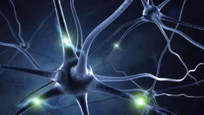 科学家成功研发能自行学习的「人工突触」